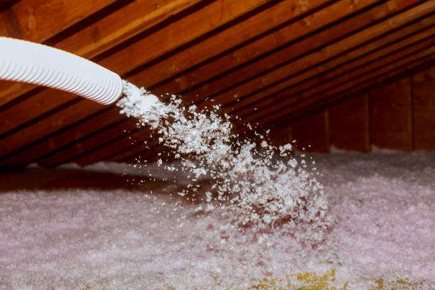 Best Spray Foam Insulation  in Tower Lakes, IL